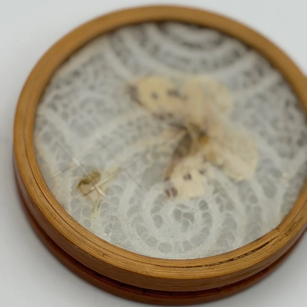 Vintage Bamboo Coasters Set of 2 Pressed Butterfly Lace Inlay Glass Round 4in